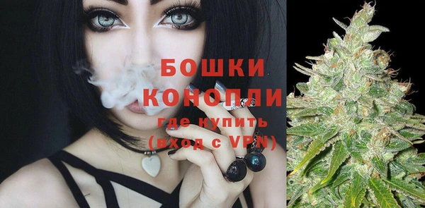 винт Богданович