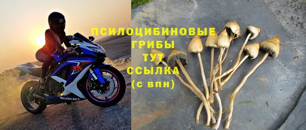 хмурый Богородск