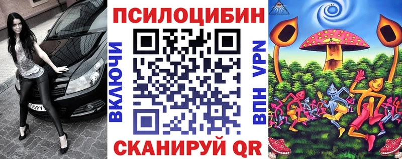 Купить закладки  Гаджиево  Псилоцибиновые грибы Cubensis 