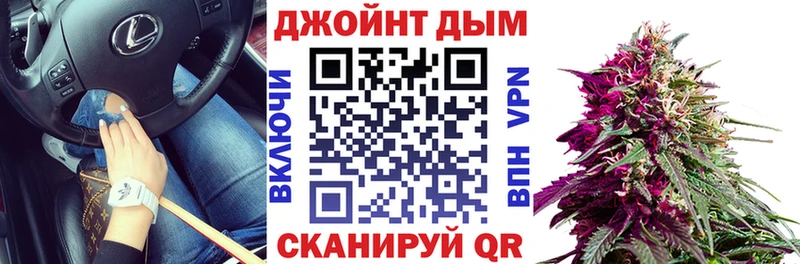 Купить закладки Гаджиево Канабис сатива